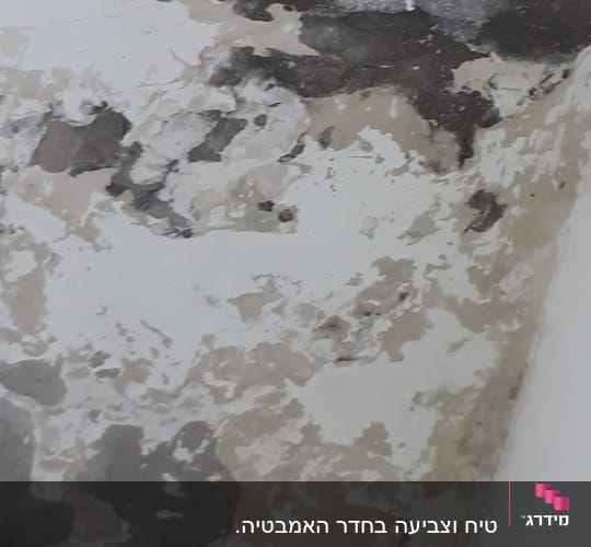 קיר עם קילופי צבע ושכבות טיח חשופות